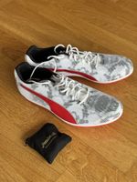 NAGELSCHUH EVOSPEED STAR 8, PUMA, Gr.41