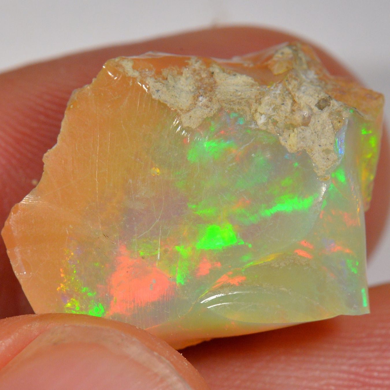 Pietre preziose: 17,3 Karat - Roher Äthiopischer Welo Opal – Nuovo (secondo la descrizione) da Rüti ZH venduto da DeinOpal 3