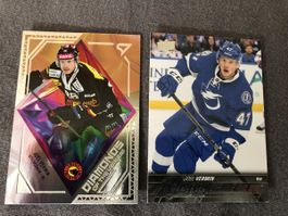 Joel Vermin SCB NHL Hockey Card