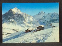 Grindelwald-First (2168m), Wetterhorn, Schreckhörner