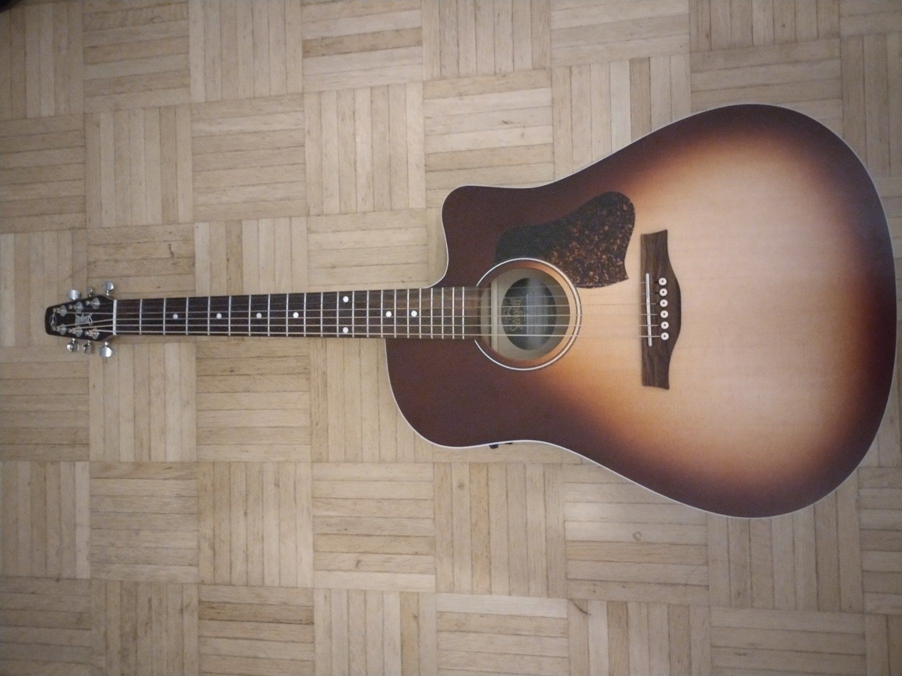 Seagull Strumenti musicali: Seagull Entourage Cutaway Presys 2 – Usato da Basel venduto da kea_9jr9