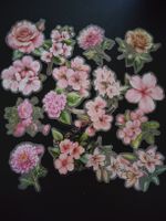 Lot d'autocollants fleurs motif floral état neuf