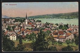 AK Wädenswil, Panorama mit Kirche, 1929