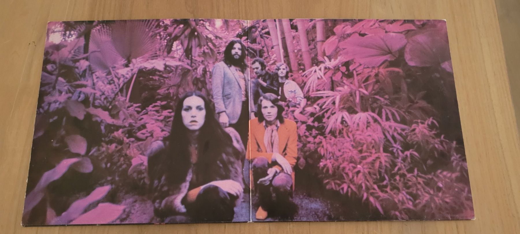 Dischi in vinile: LP  Amon Düül II – Usato da Martigny venduto da MZ-67 1