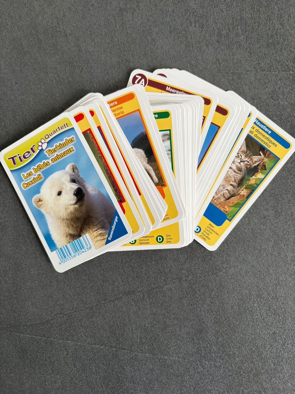 Ravensburger Jeux: Ravensburger Tierkinder Quartett, neu – Neuf (Voir description) à Beinwil am See par den_p9db 1