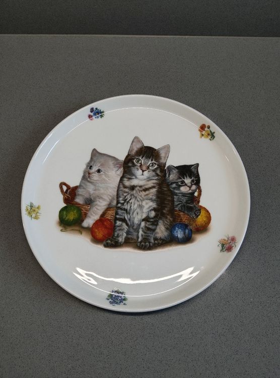 SERViER Teller / ARZBERG (Neu (gemäss Beschreibung)) in Minusio für