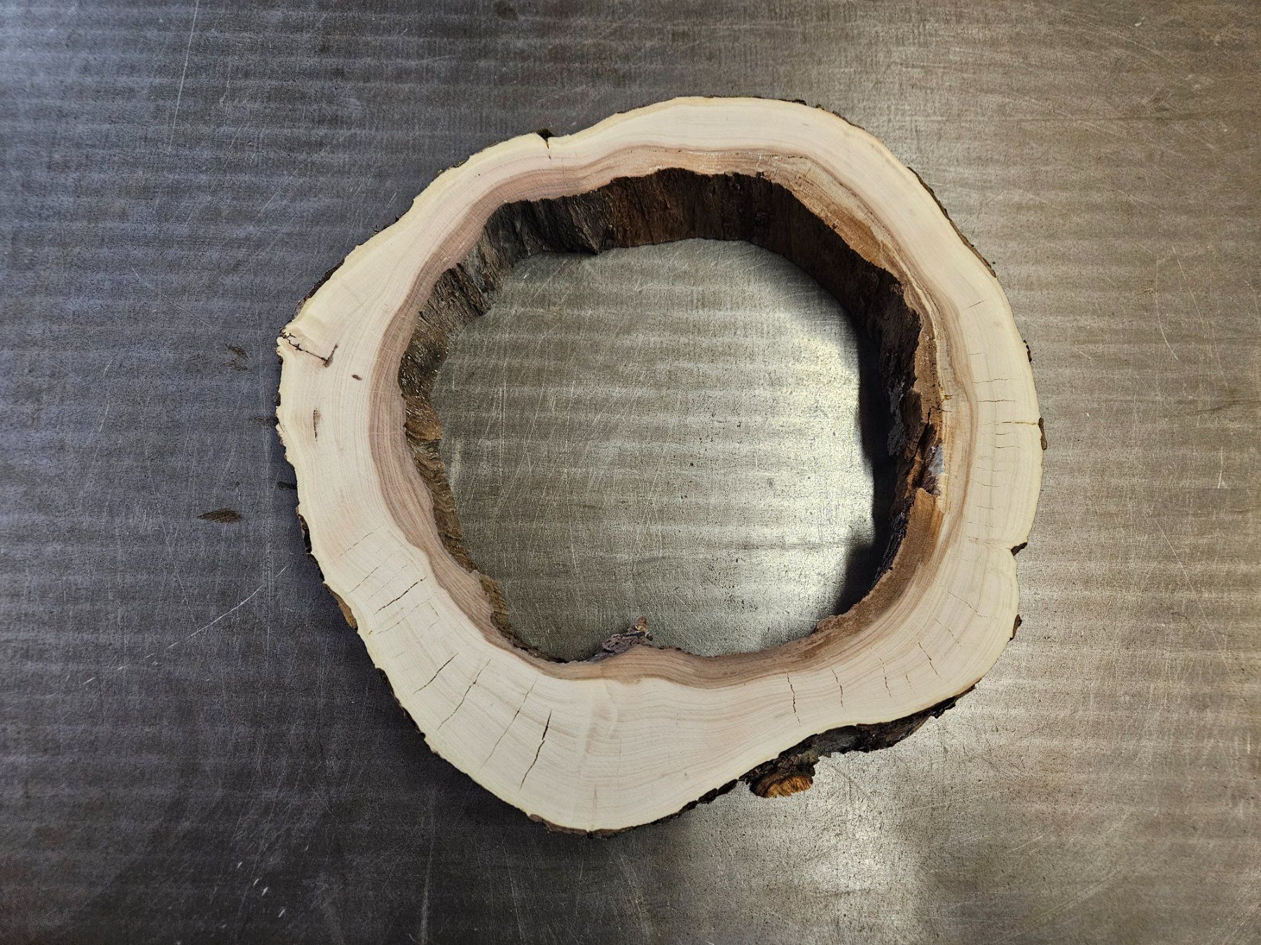 Articoli in legno: Baumscheibe Apfelbaum – Nuovo (secondo la descrizione) da Schangnau venduto da egli6.2