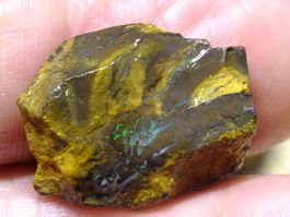 BOULDER ROH OPAL 23 Kt Gebot 1.- Elektisch Blau Grün feuer
