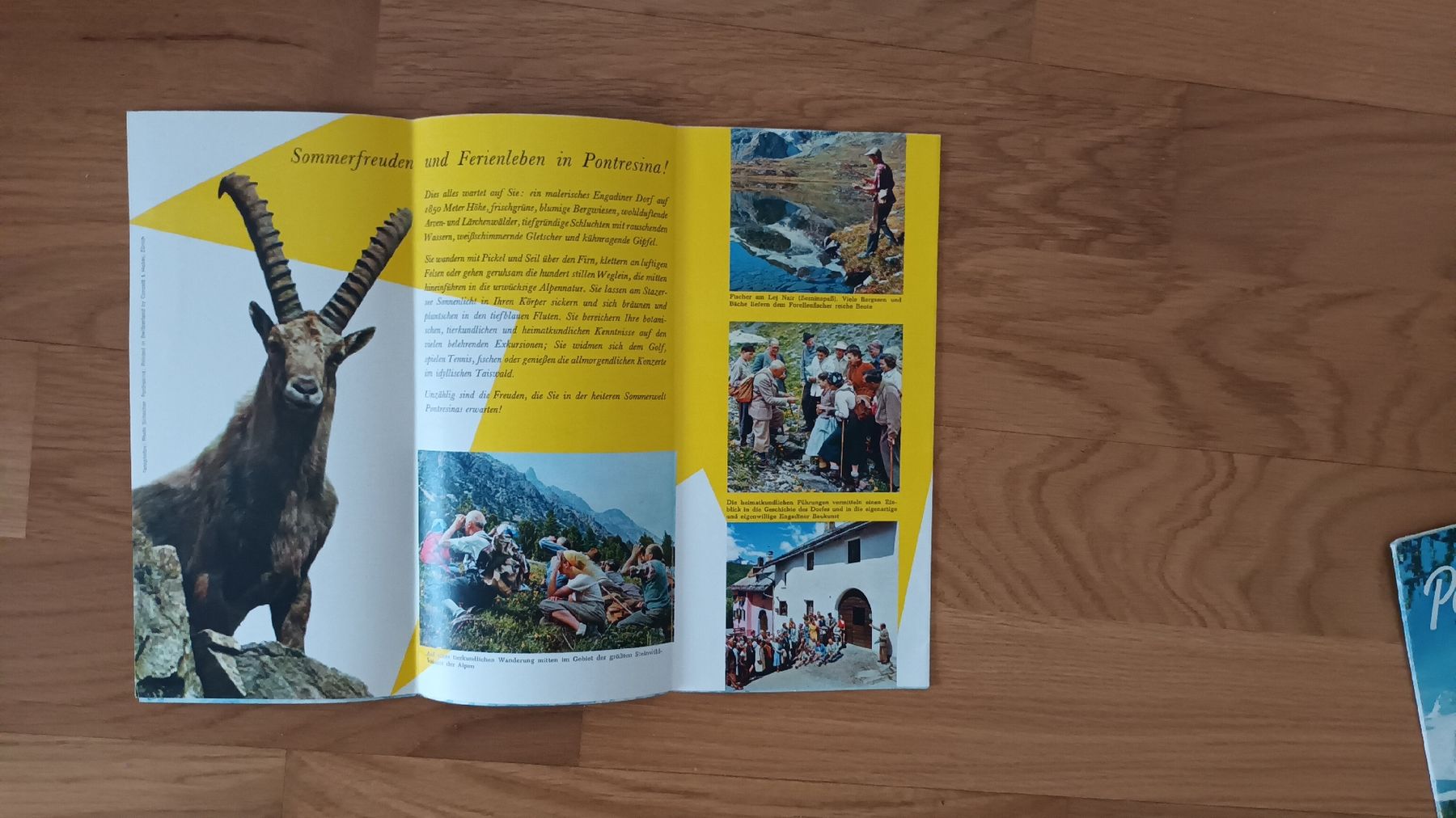 Documenti: 3 antike Prospekte über PONTRESINA – Usato da chur venduto da erika025 1