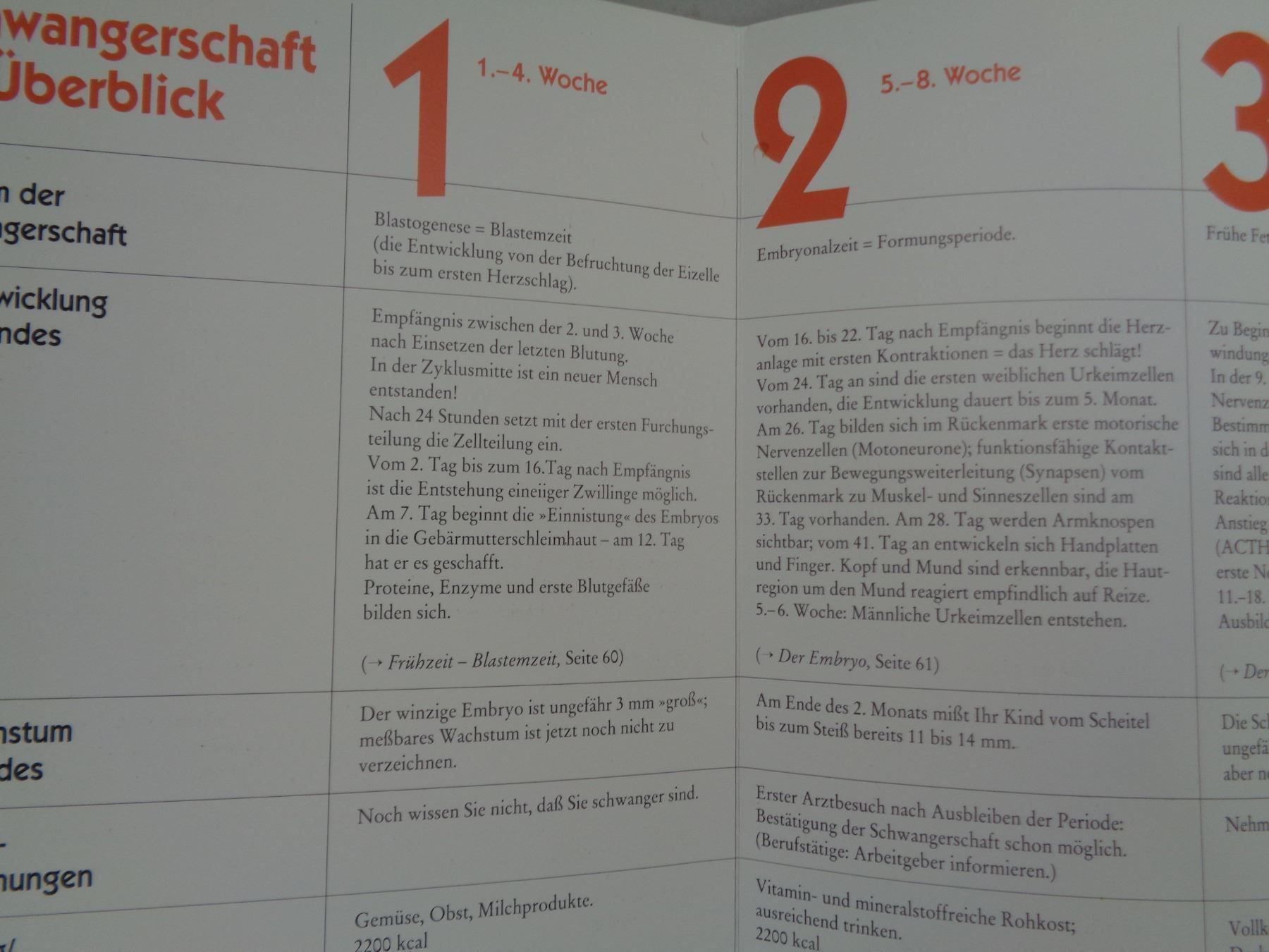Libri: Schwangerschaft - Dr. med. Walther Prinz – Usato da Chur venduto da omonia 2