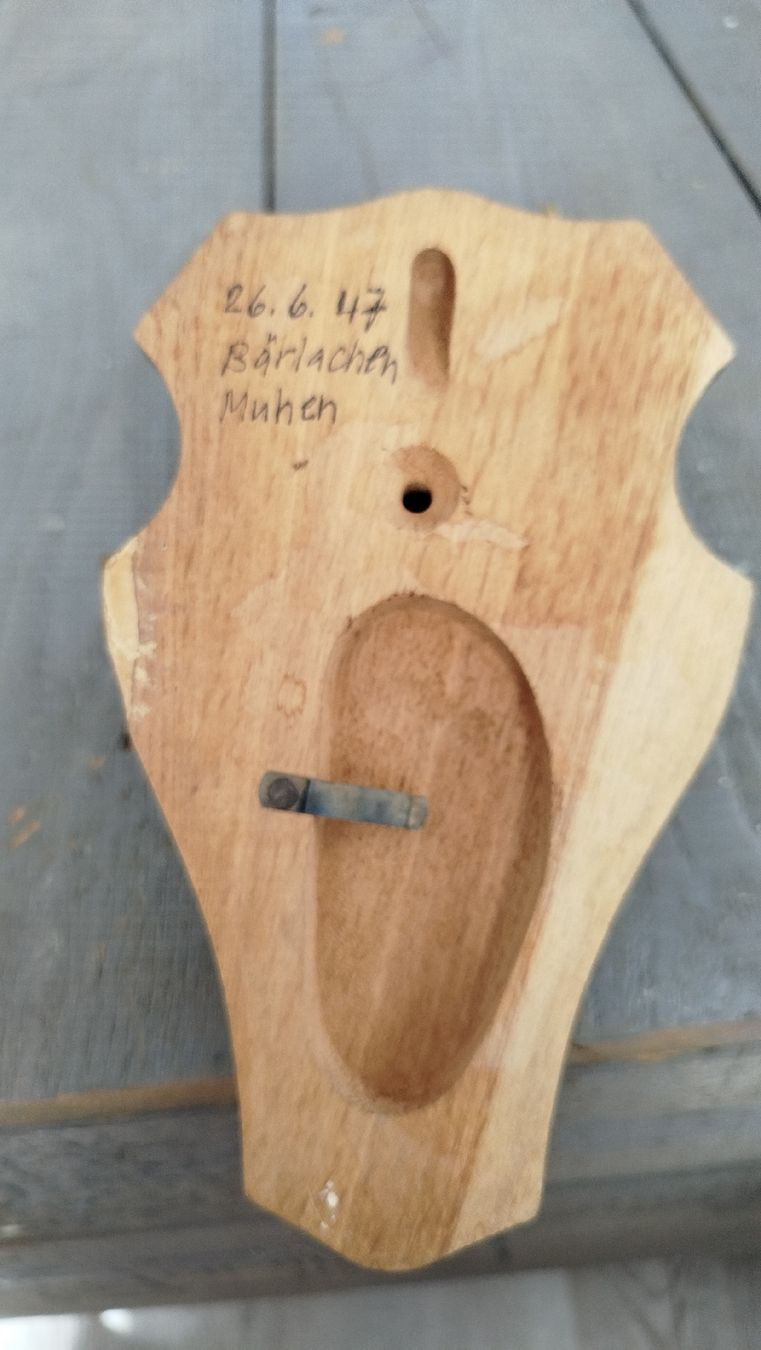 Altre raccolte & rarità: Rehkopf mit Geweih? 1947 Muhen – Usato da Glashütten venduto da lightmoon 3