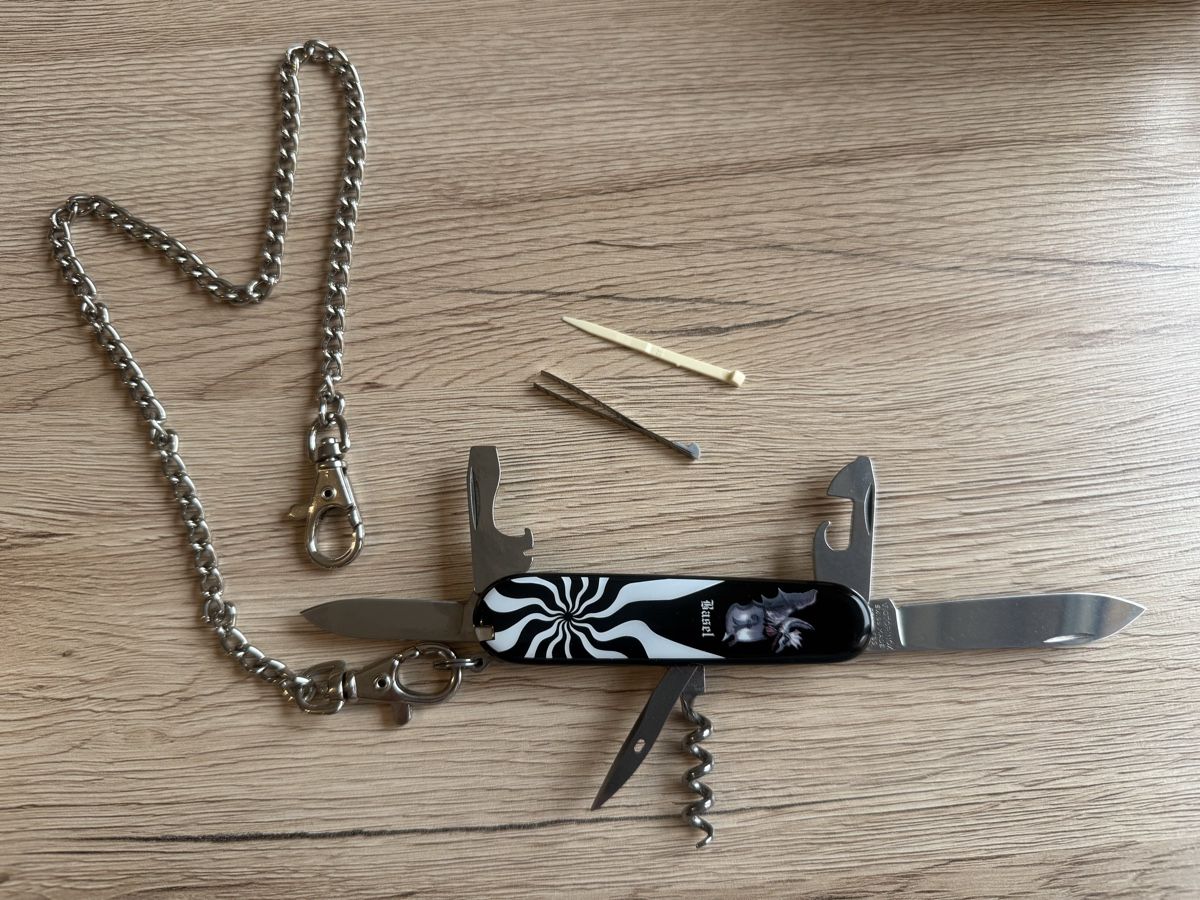 Victorinox Coltelli tascabile: Victorinox Schweizer Taschenmesser Basel Design mit Kette – Usato da Wettingen venduto da Ni_la_lo