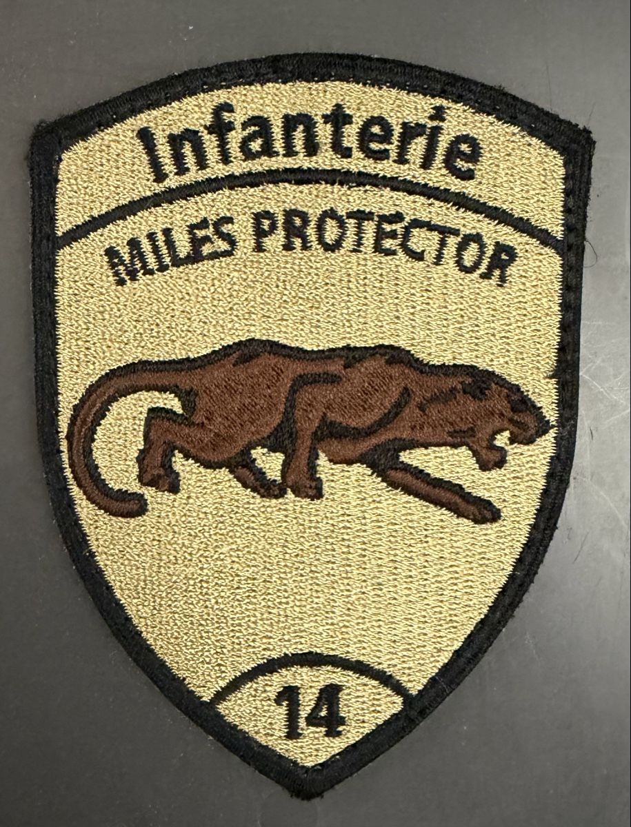 Schweizer Armee Placchette & Badge: Badge Infanterie 14 – Nuovo (secondo la descrizione) da Pregassona venduto da Sangiovese100