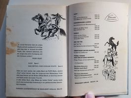 Vintage Jugend Kinder Buch: Fury - und die Mustangs