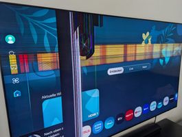 Samsung 85" Neo QLED 4K 2024 Display schaden defekt