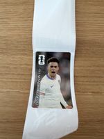 WM Panini Sticker (Coca Cola Sticker) - Antonee Robinson