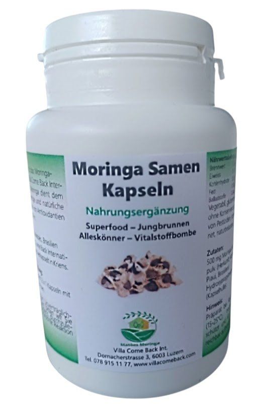 Plantes & graines: Moringa Samen oleifera PKM1 – Neuf (Voir description) à Luzern par ivo_schild 7