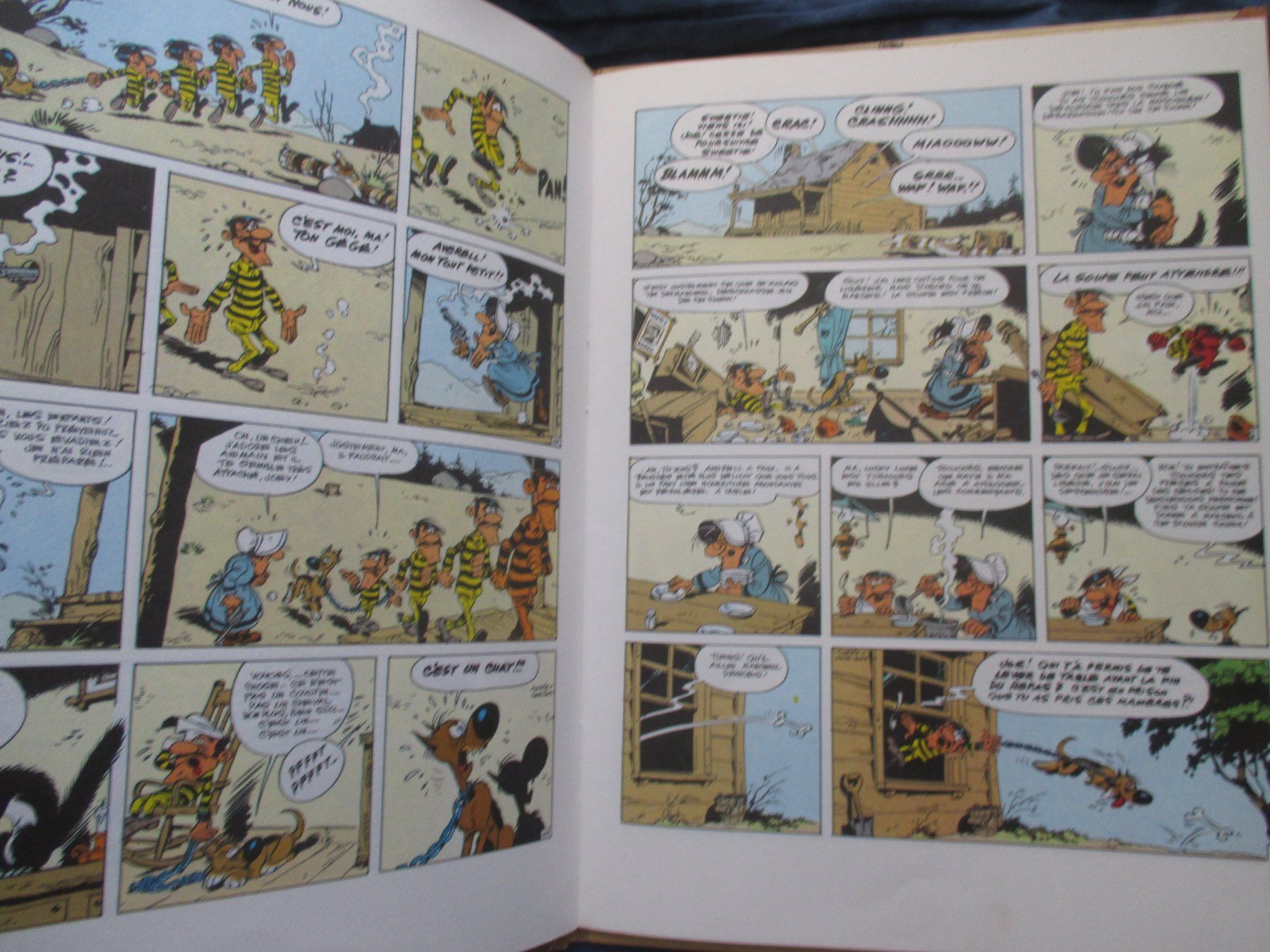 Comics: Lucky Luke : Ma Dalton – Gebraucht aus Colombier NE von Nevenma 2