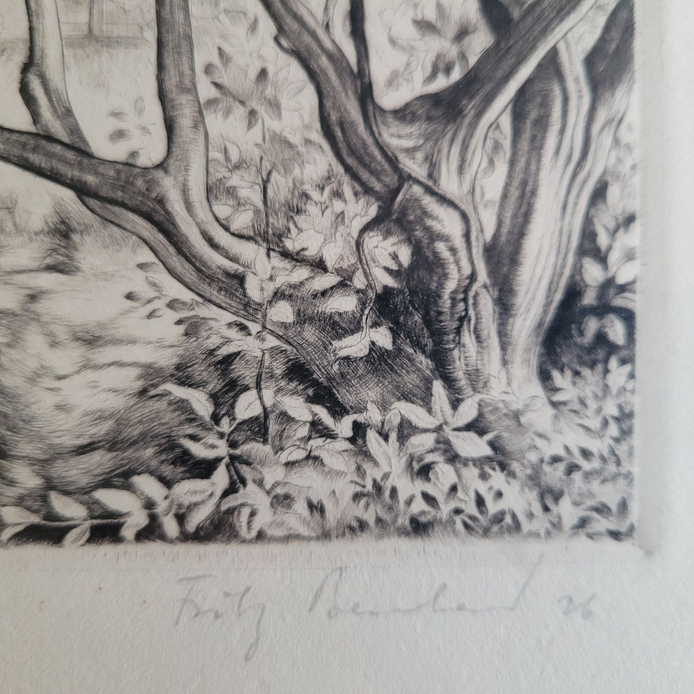 Foto & Immagini: Fritz Bernhard, Blick vom Lindberg, Winterthur – Usato da Unterstammheim venduto da Dolosprint80 4