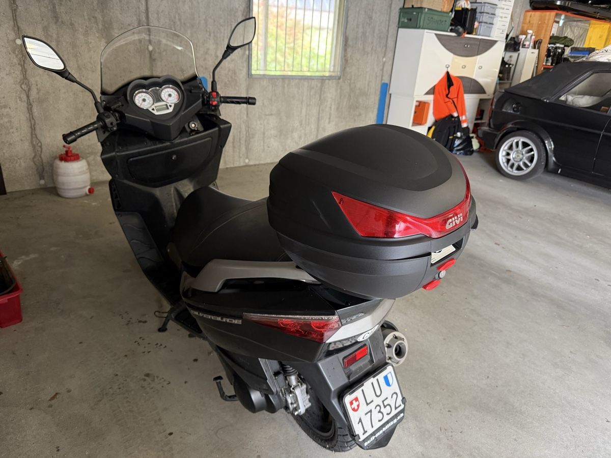 Tell Strada: Roller Tell – Usato da Roggliswil venduto da Pascal_Kaeser 2