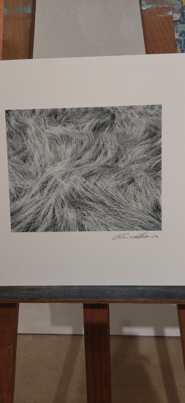 Libri: Portfolio Forest Davis Photographs, 1981 – Usato da Zürich venduto da Top-Deal-Schweiz 8