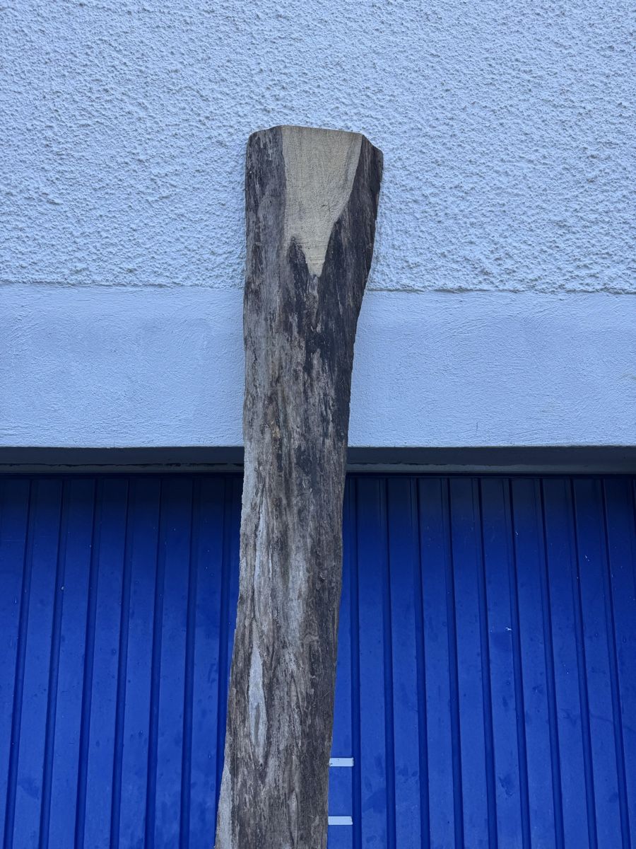 Articoli in legno: Nussbaum Klotzbrett 260  cm lang! – Usato da Gränichen venduto da onkel_xxl 2