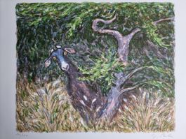 WALTER SAUTTER LITHOGRAPHIE SIGNIERT NUMMERIERT