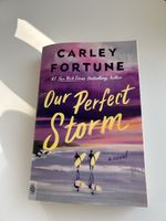 Roman Our Perfect Storm Carley Fortune Taschenbuch neu
