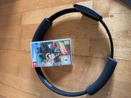 Nintendo Ringfit