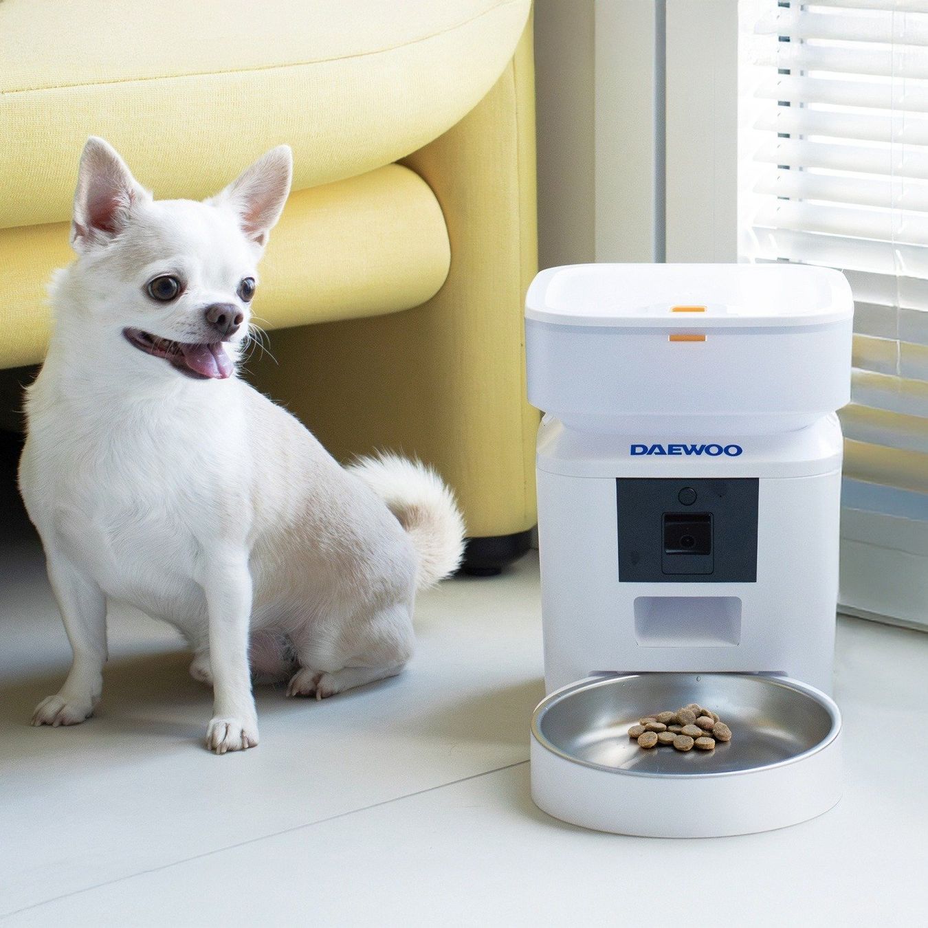 Futter: Daewoo Smart Pet Feeder + Camera 2L – Neu und originalverpackt aus Hitzkirch von Thali_AG 7