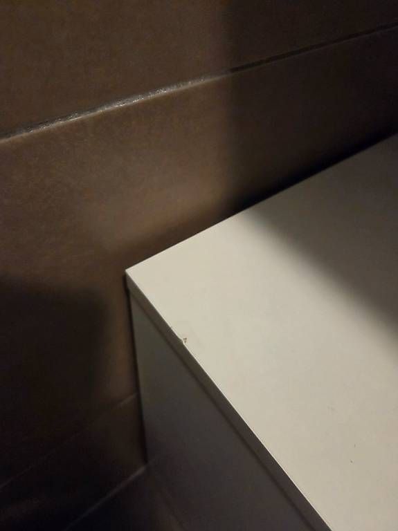 Badezimmermöbel: Meuble sous-lavabo blanc – Gebraucht aus Petit-Lancy von ZazouB 2
