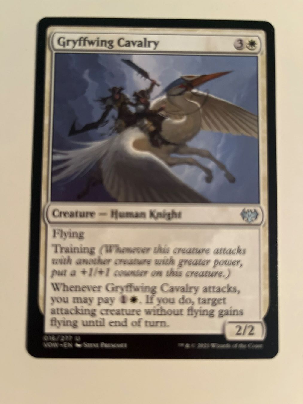 Magic The Gathering Carte collezionabili: 1 x Gryffwing Cavalry - Magic: The Gathering - MtG – Usato da Kriens venduto da Shadi1980