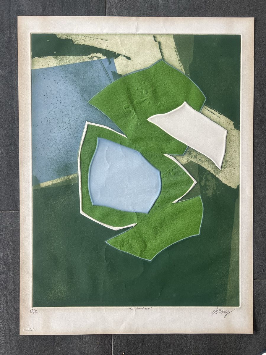 Grafica & Litografie: Bertrand Dorny, handsigniert, nummeriert – Usato da Rain venduto da Pic-Ass