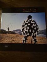 Pink Floyd Delicate Sound of Thunder Doppel-LP Vinyl