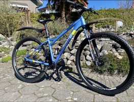 Wheeler 29 Zoll ab Service, nahezu Neuzustand! Preis VB
