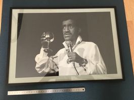 Bild | inkl. Rahmen - S/W - ca. 50x 34cm „Sammy“ Davis, Jr.