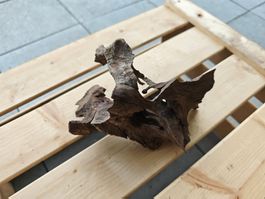 Kleine Aquarium Wurzel / Nano Aquascaping Holz (19x13x14 cm)