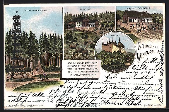 Ansichtskarten: Litho Winterthur, Der Hof Eschenberg, Wa – Gebraucht aus Berlin von bartko-reher