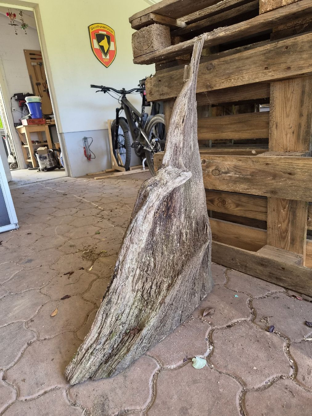 Articoli in legno: Einzigartiges Stück Eichen Wurzelholz für Garten oder Deko – Usato da Möhlin venduto da Lix