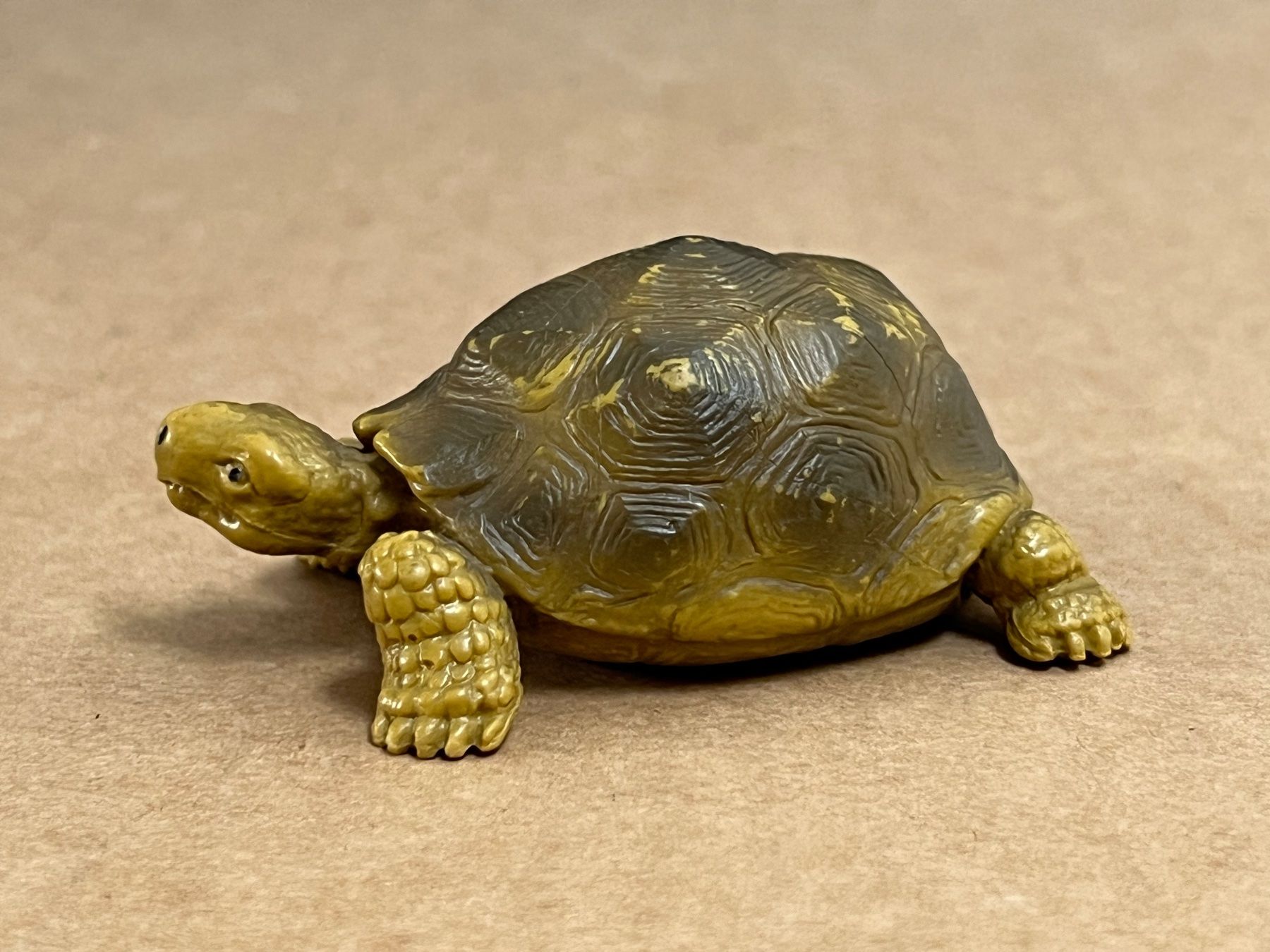 Schleich Statuette: Schleich Schildkröte 14081 von 1991 – Usato da Ennetbaden venduto da mapa05 2