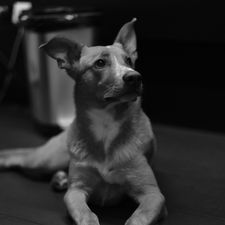 Profile image of Ayyln