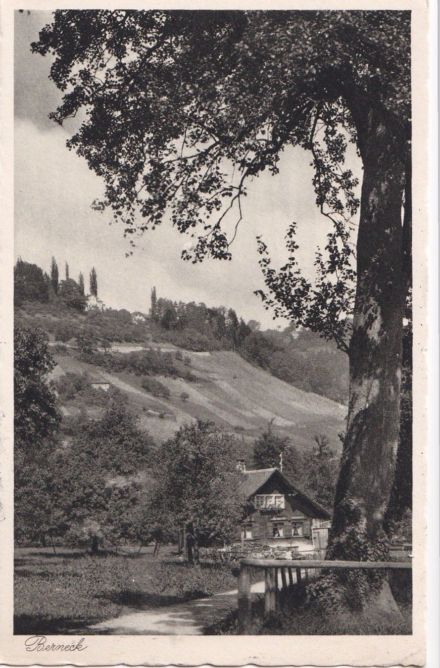 Cartes postales: Berneck Teilansicht – D'occasion à Olten par clotaldi