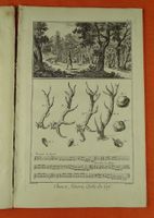 JAGD FALKNEREI 23 KUPFERSTICHE , 1780