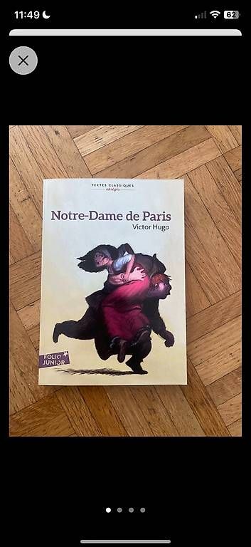 Libri: Notre-Dame de Paris - Victor Hugo – Usato da Bern venduto da aij_cs5m