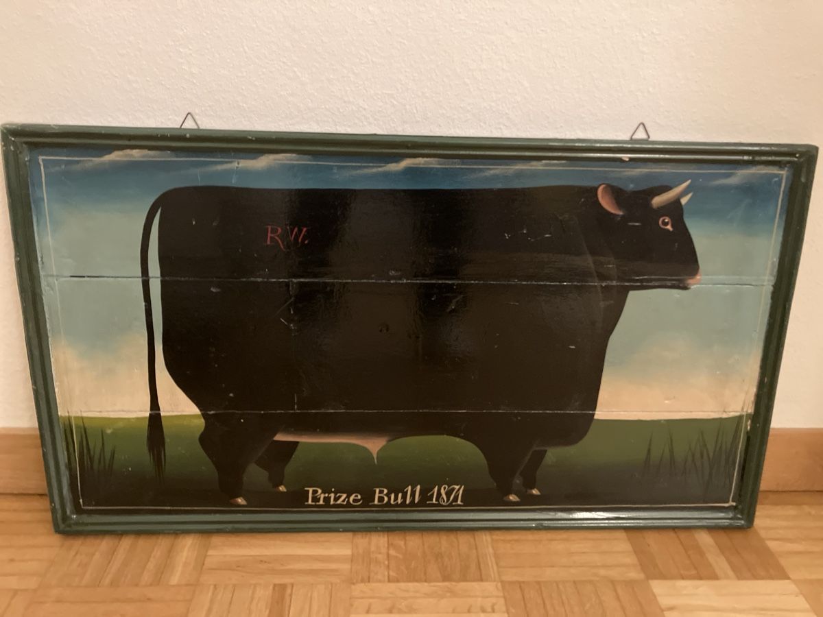 Foto & Immagini: Prize Bull 1871 – Usato da Bern venduto da divediver