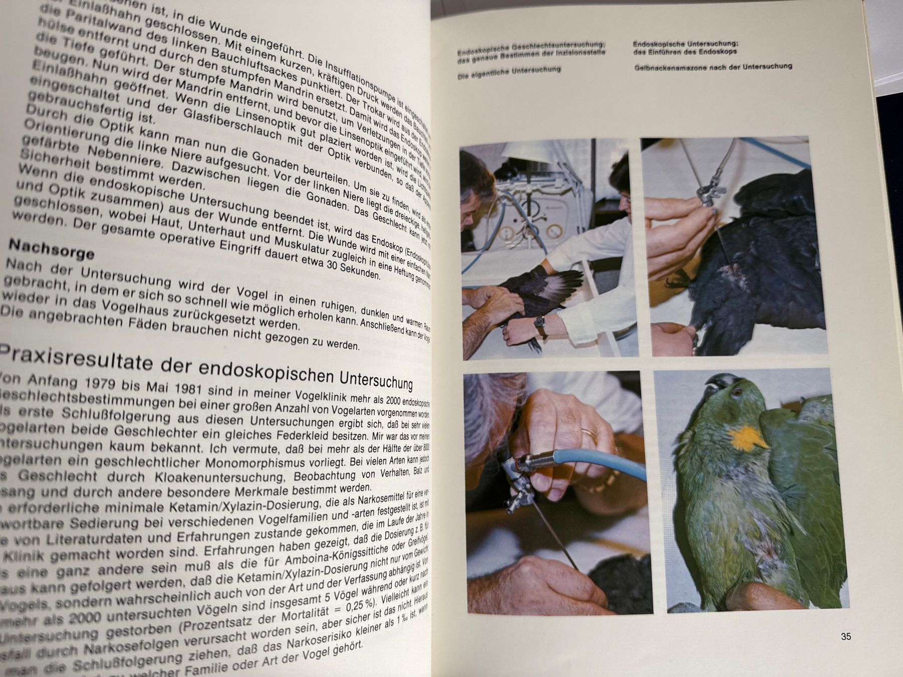 Bücher: Geschlechtsmerkmale bei Vögeln - Buch – Gebraucht aus Lyss von Nirak6 1