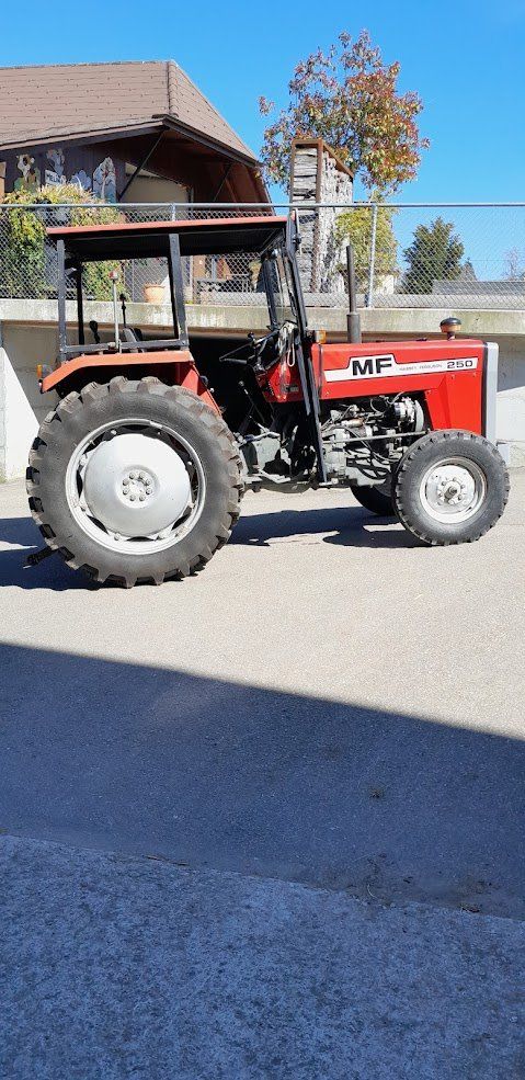 Massey Ferguson Trattori: Traktor MF 250/8 – Usato da Wyssachen venduto da sandro-marc 1