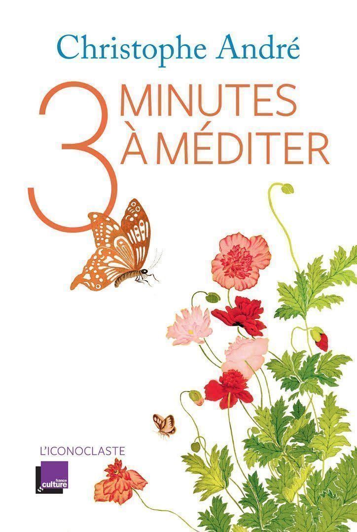 Libri: 3 minutes à méditer – Usato da Neuchâtel venduto da Dualseele