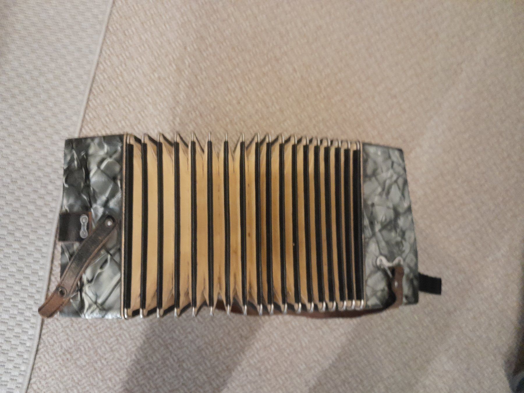 Strumenti musicali: Hohner Concertina Vineta – Usato da Tann venduto da Raqueldoo 6