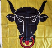 Fahne Flagge Kanton Uri Gotthard Stau Altdorf Schattdorf